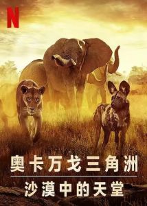 幸存的天堂海报图片