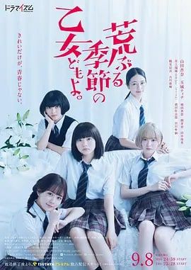骚动时节的少女们啊封面图