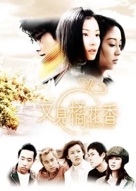 又见橘花香海报图片