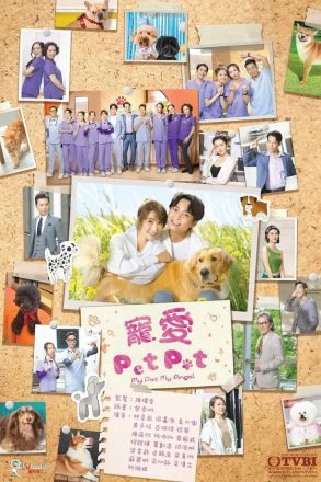 宠爱PetPet封面图