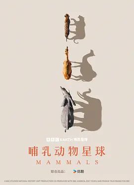 哺乳动物星球封面图