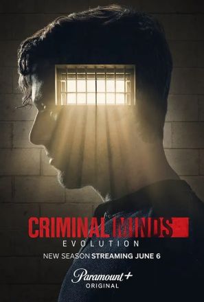 犯罪心理第十七季海报图片