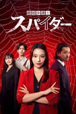 离婚律师蜘蛛抚恤金争夺篇