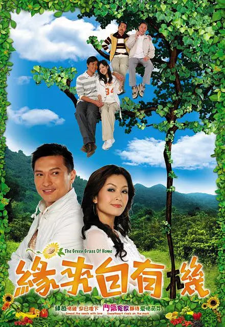 缘来自有机海报图片