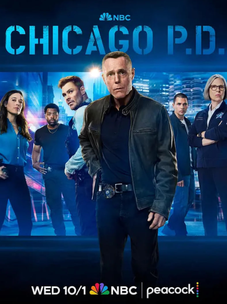 芝加哥警署 第十三季海报,美剧视频-美剧下载-美剧在线观看-高清美剧-人人影视_筷子视频