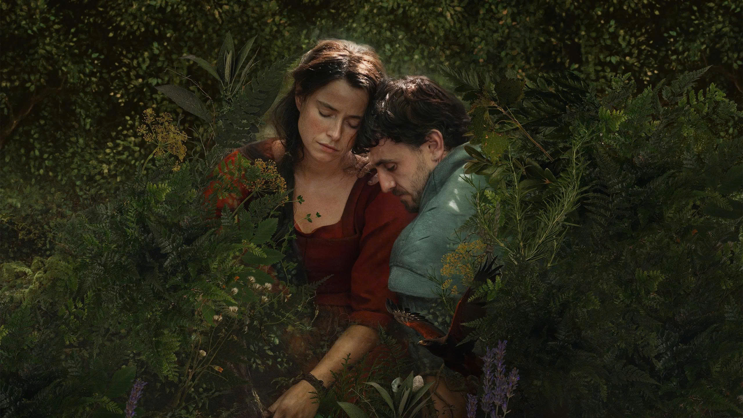 哈姆奈特,美剧视频-美剧下载-美剧在线观看-高清美剧-人人影视_筷子视频