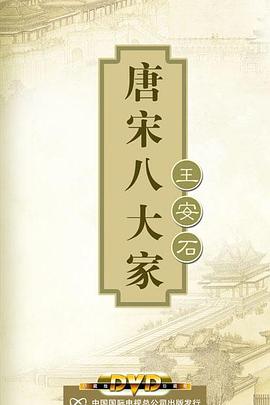 百家讲坛—唐宋八大家之王安石海报,美剧视频-美剧下载-美剧在线观看-高清美剧-人人影视_筷子视频