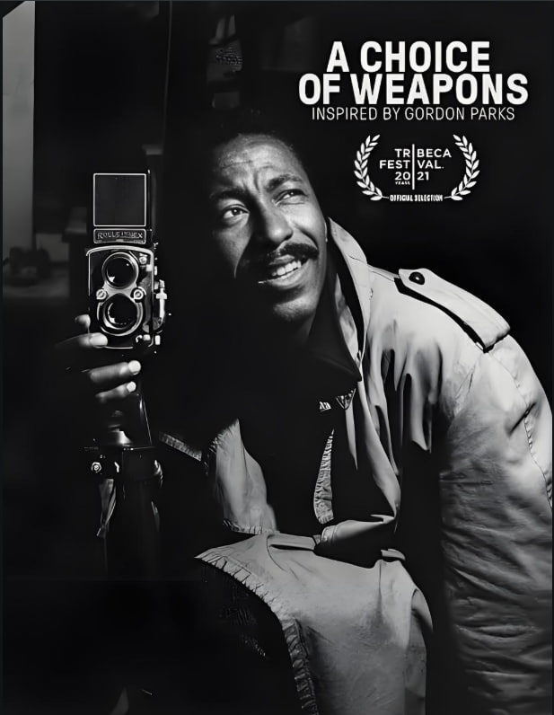 哥顿，派克斯的艺术生涯海报,美剧视频-美剧下载-美剧在线观看-高清美剧-人人影视_筷子视频