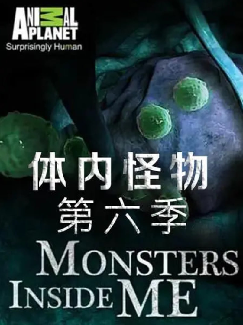 体内的怪物 第六季海报,美剧视频-美剧下载-美剧在线观看-高清美剧-人人影视_筷子视频