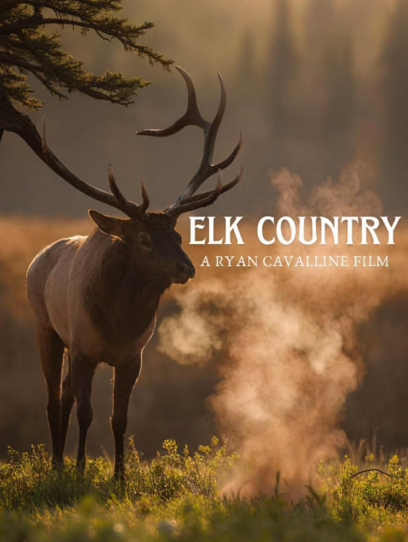 麋鹿之乡海报,美剧视频-美剧下载-美剧在线观看-高清美剧-人人影视_筷子视频