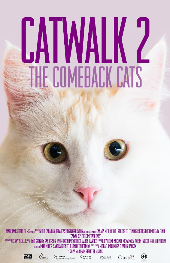 《猫步2：回归的猫》海报,美剧视频-美剧下载-美剧在线观看-高清美剧-人人影视_筷子视频