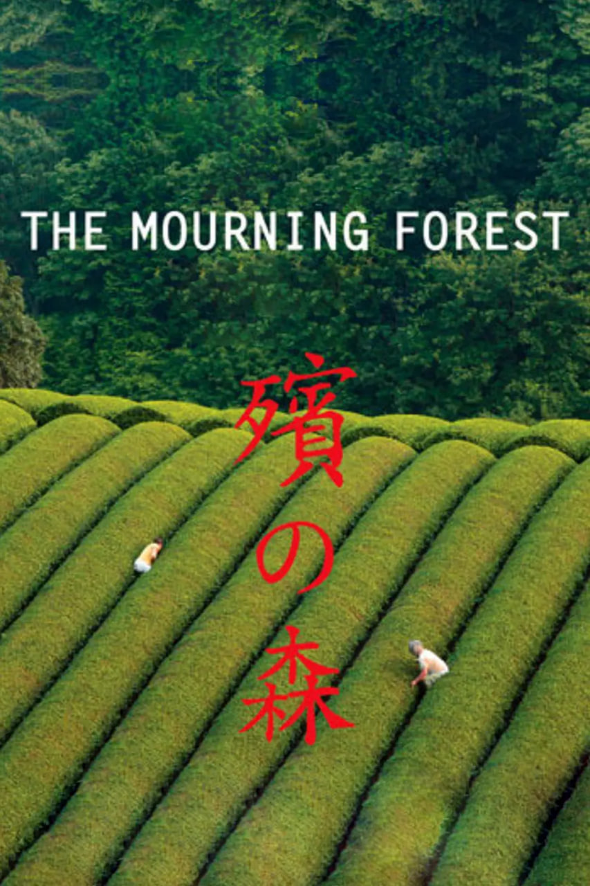 殡之森海报,美剧视频-美剧下载-美剧在线观看-高清美剧-人人影视_筷子视频