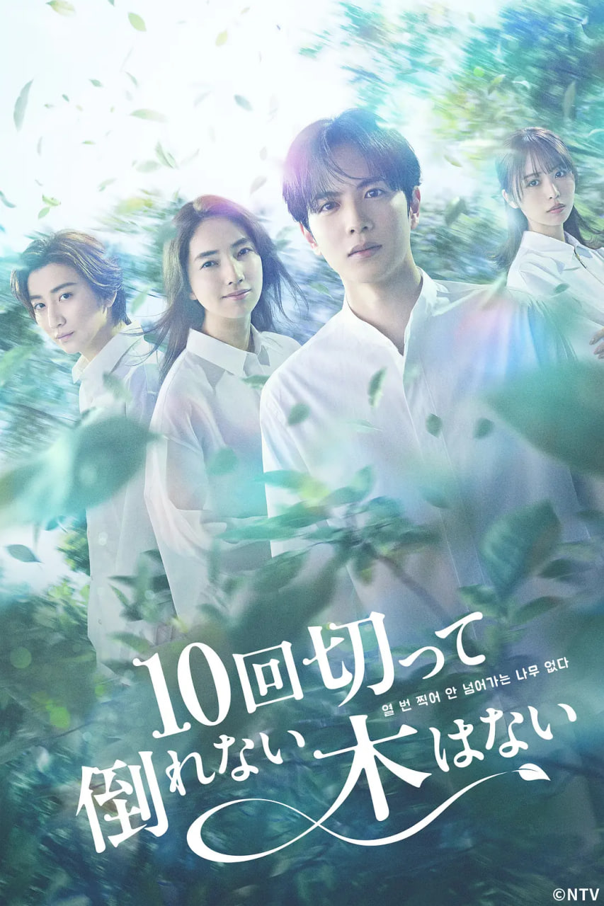 没有砍十次还不倒的树海报,美剧视频-美剧下载-美剧在线观看-高清美剧-人人影视_筷子视频