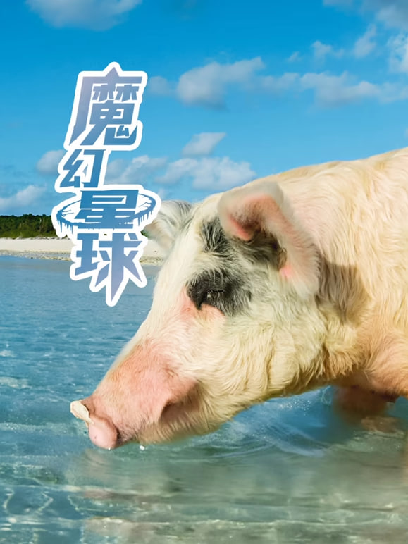 魔幻星球海报,美剧视频-美剧下载-美剧在线观看-高清美剧-人人影视_筷子视频