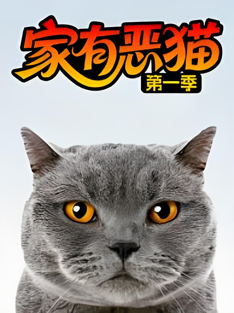 家有恶猫 第一季海报,美剧视频-美剧下载-美剧在线观看-高清美剧-人人影视_筷子视频
